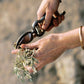 Pruners & Sheath